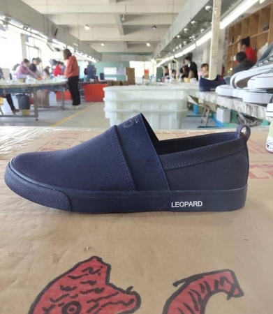 Leophard Canvas men shoes